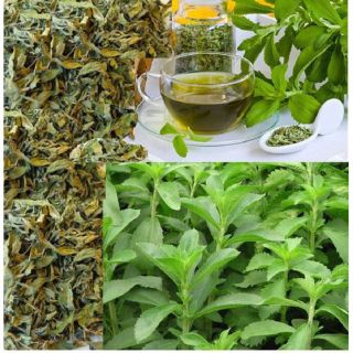 Cây cỏ ngọt khô