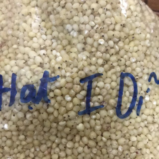 Sale Hạt i dĩ Cao lương