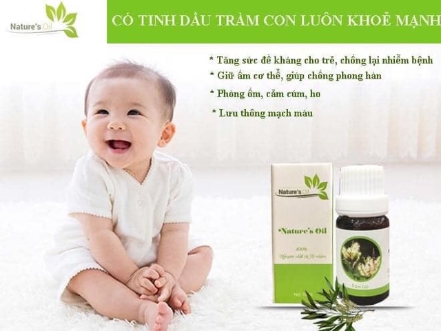 Tinh dầu tràm gió - Tinh dầu Viện Hàn Lâm Khoa học Công nghệ Việt Nam