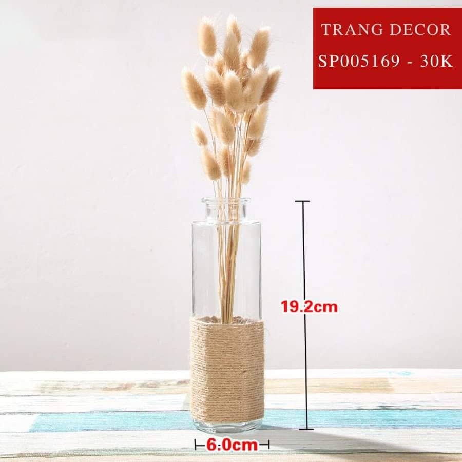 Bình thuỷ tinh cuận dây decor