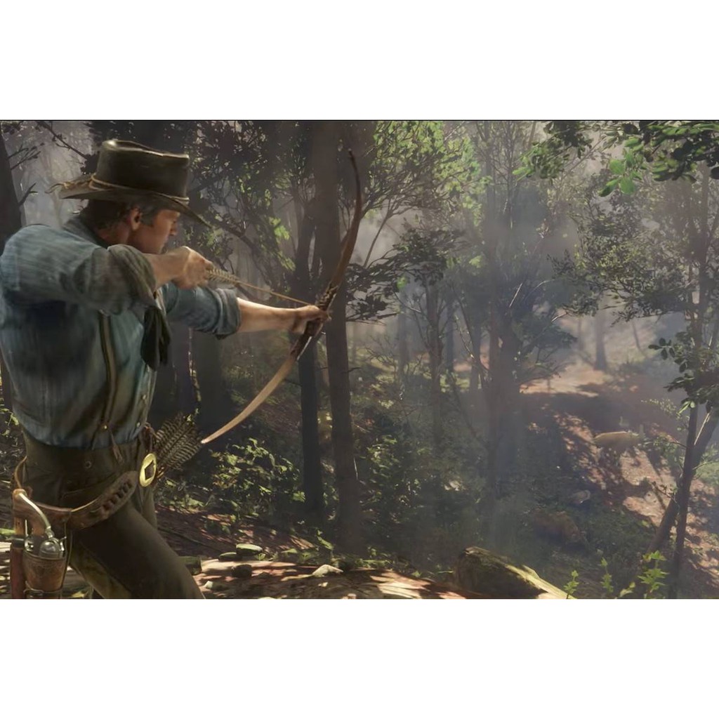 Đĩa Game PS4 - Red Dead Redemption 2