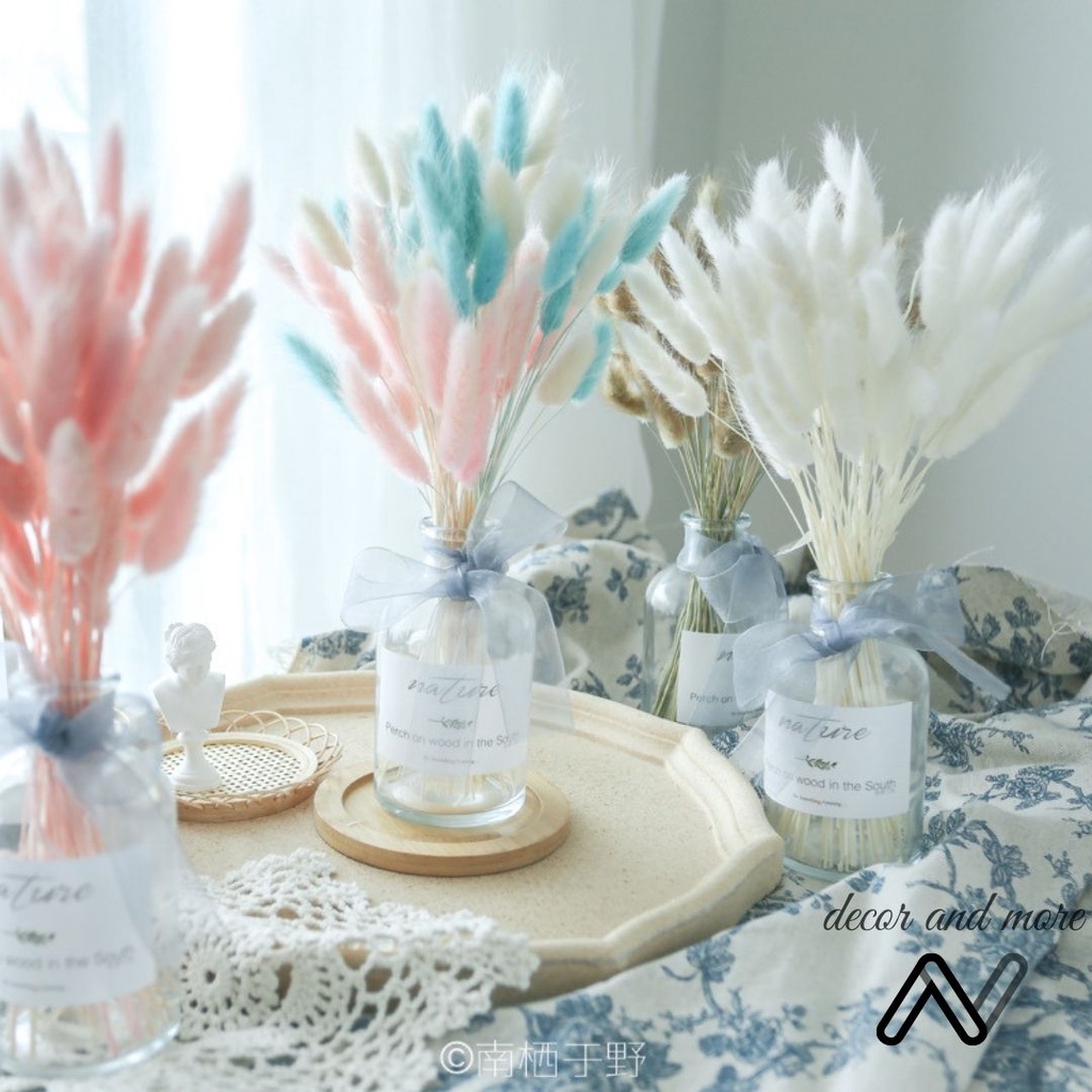 Hoa khô cỏ đuôi thỏ, cỏ lau bunny tails decor trang trí chụp ảnh