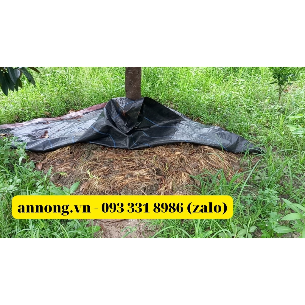 Tấm Bạt Phủ Chống Cỏ 2m x 10m