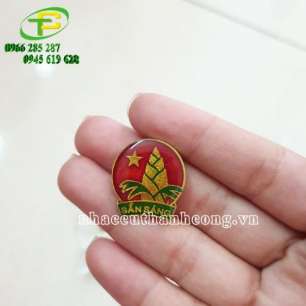 Huy hiệu ĐỘI cài áo loại đẹp | Thiết bị Đoàn Đội