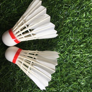 CẦU LÔNG BA SAO tulip hl883