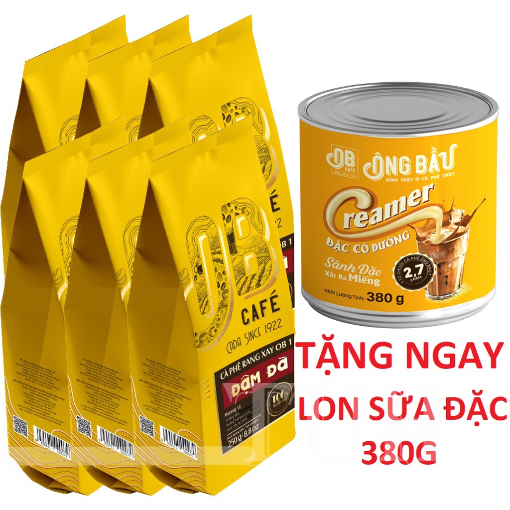 [6 TÚI]Cà Phê Rang Xay Ông Bầu Đậm Đà Túi 250, Cafe OB-TUH Store