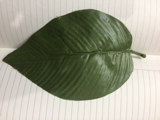 1 Lạng Lá nhựa