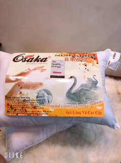 Gối lông vũ Osaka