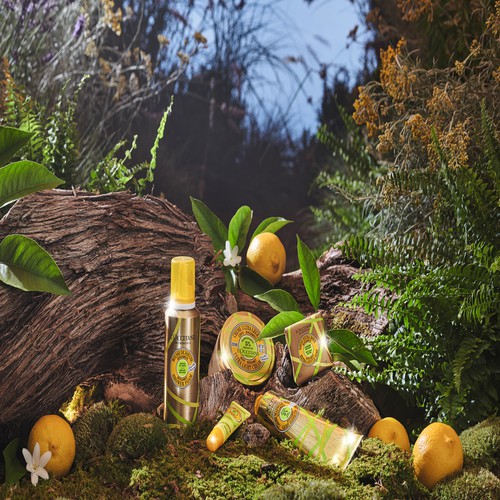 [Mã FMCGM50 - 8% đơn 250K] Son dưỡng môi Bơ Shea Bergamot Lip Balm 12ml L'Occiatne | BigBuy360 - bigbuy360.vn