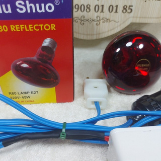 bộ đèn úm gà con - đạt hiệu quả cao (1 bộ)
