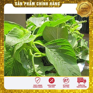 Hạt giống rau dền xanh cao sản