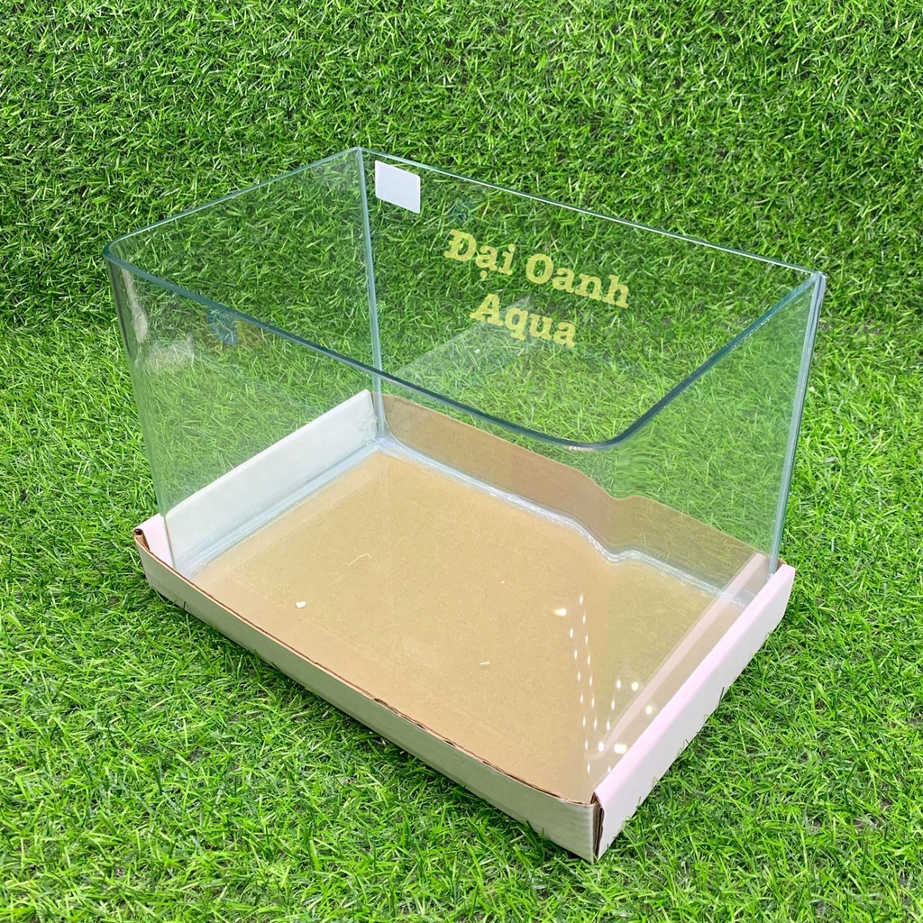Bể Cá Kính Đúc Mini 25cm Kèm Đèn Lọc Để Bàn, Dài 25cm Rộng 16 Cao 18cm - Bể Cá Cảnh Mini
