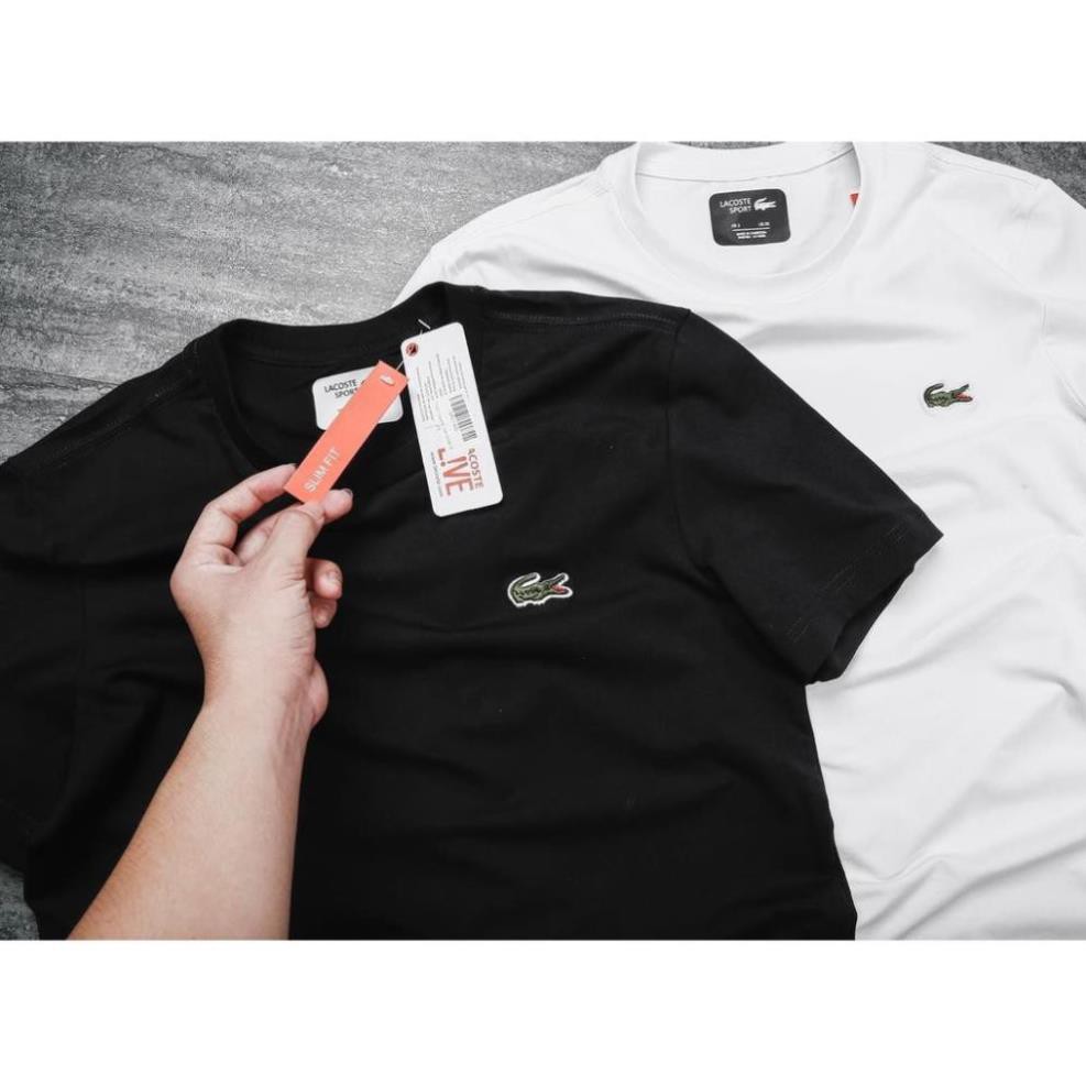 Áo Phông Nam Không Cổ Cá Sấu ( A002) | BigBuy360 - bigbuy360.vn