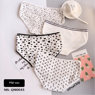 Combo 4 quần lót siêu cute