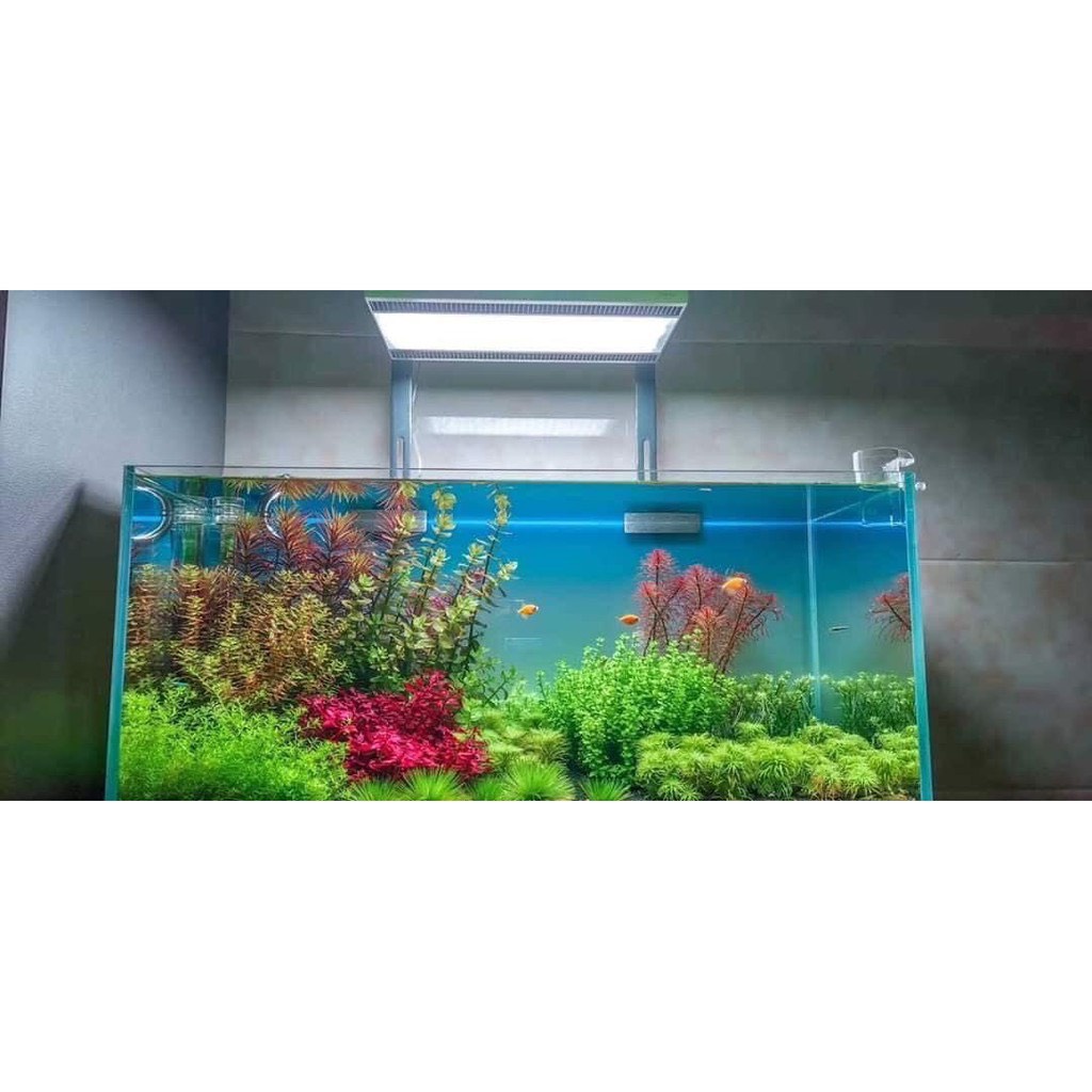 ĐÈN LED WEEK ARK PRO A430 CHO BỂ THỦY SINH