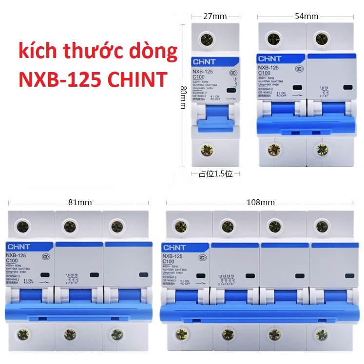 Aptomat CHINT NXB125-MCB 2P 3P 4P C100A 10KA - Át gài thanh ray