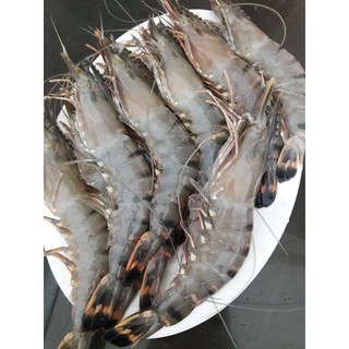 [HÀ NỘI giao nhanh 1h ] TÔM SÚ TƯƠI cấp đông 18 con/hộp
