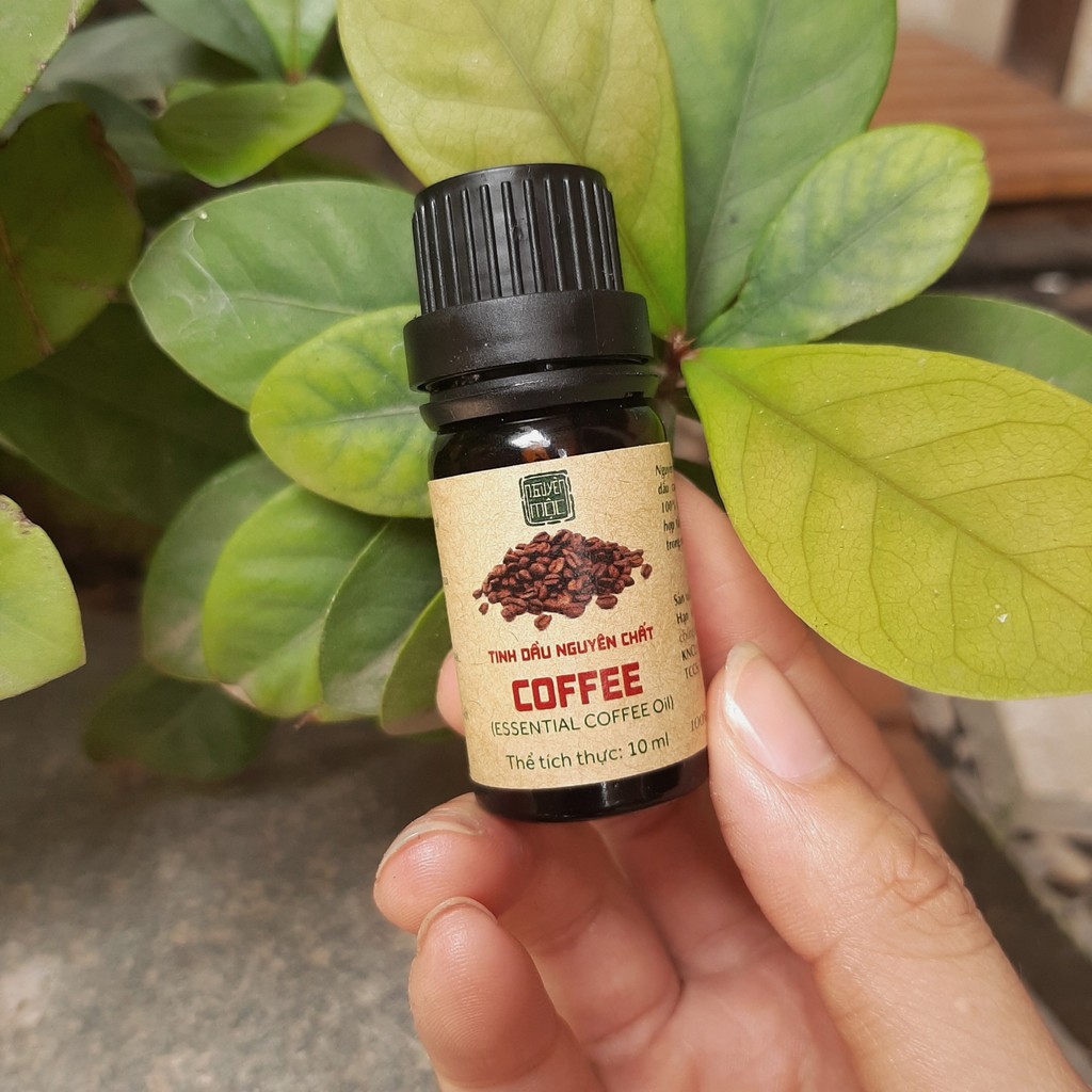 Tinh Dầu Nguyên Chất Coffee Thảo Dược Nguyên Mộc. Hỗ trợ thư giãn, giảm stress, khử mùi không khí