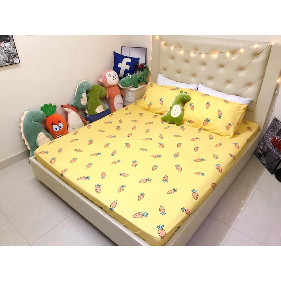 Bộ ga gối 1m5 cotton poly nhập khẩu loại 1(mẫu 18)