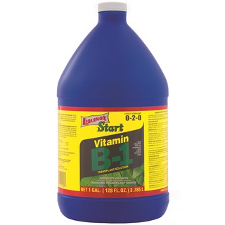 Phân bón Vitamin B1 Liquinox Start 100ml