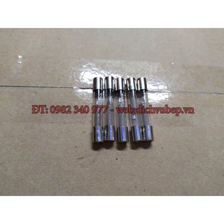 Combo 10 cầu chì thủy tinh lò vi sóng