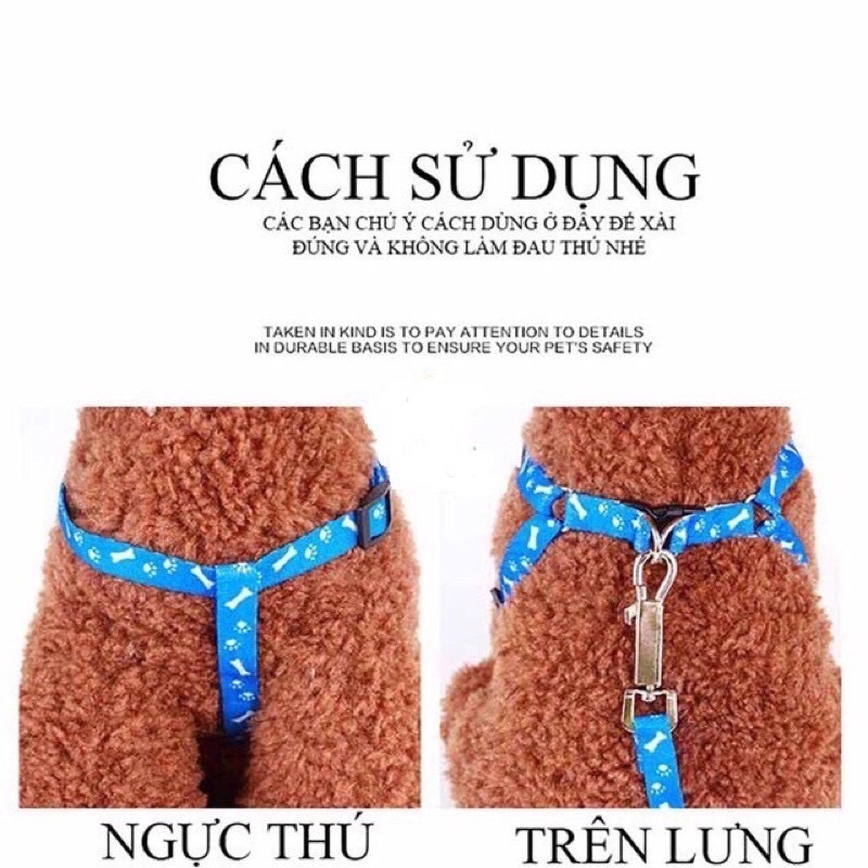 Dây dắt yếm loại mỏng cho thú cưng dưới 3kg, chó mèo đều dùng được