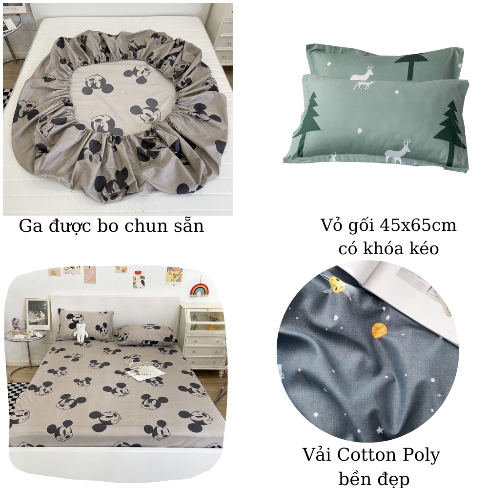 Ga gối Poly Cotton, Bộ Drap Ga Giường Mẫu Đẹp ZingZingMart (Được chọn mẫu - Gồm 1 Ga + 2 Vỏ gối nằm)