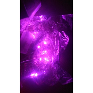 Đèn Led Dây Chớp Nháy - Dây 5m