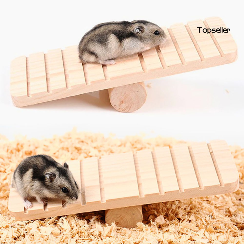 Đồ Chơi Bằng Gỗ Tự Làm Cho Chuột Hamster