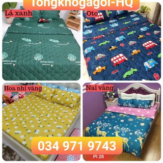 Bộ ga gối cotton poly, được chọn mẫu, gồm 1 ga chun và 2 vỏ gối