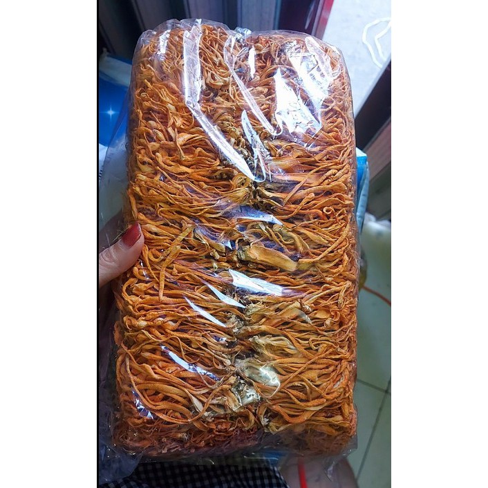 💥 (1KG) ĐÔNG TRÙNG HẠ THẢO SẤY KHÔ