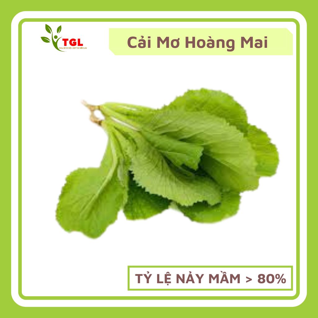 Hạt giống Rau Cải Mơ Hoàng Mai, Rau Cải Canh - Hạt Giống Rau Củ Quả Dùng Làm Vườn Nông Nghiệp Gia Lâm