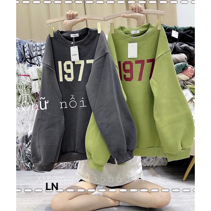 Áo nỉ bo cotton 1977 LN12