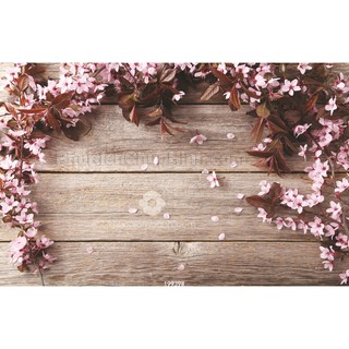 Phông nền 3D chụp ảnh sản phẩm 19939