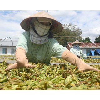  Lá cây trinh nữ hoàng cung 1kg 