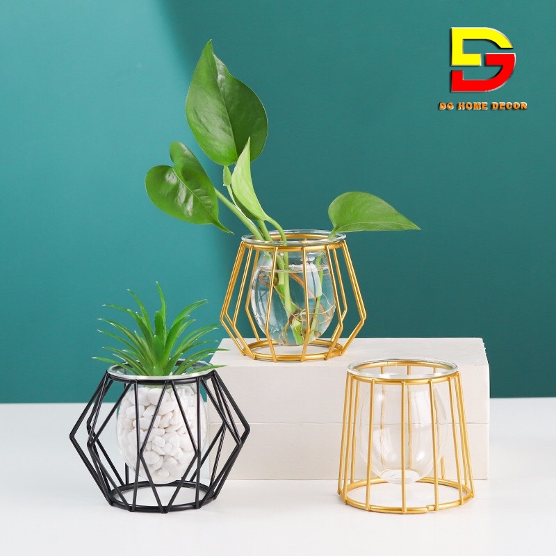 Bình Hoa Đẹp- Lọ Hoa Thuỷ Tinh Hình Khối Độc Đáo Phong Cách Bắc Âu Trang Trí Decor Nhà Cửa DG-47