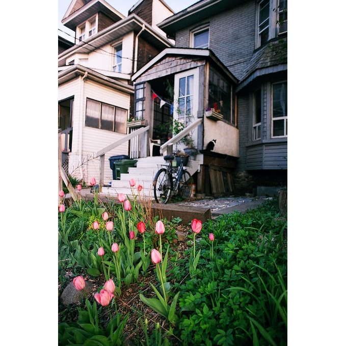 Film chụp ảnh Fujifilm 200 36exp date 12/2024 film 35mm loại hộp lẽ 1 hộp có 1 cuộn