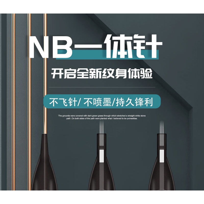 Hộp 20 Kim Xăm Hình Chuyên Nghiệp NB