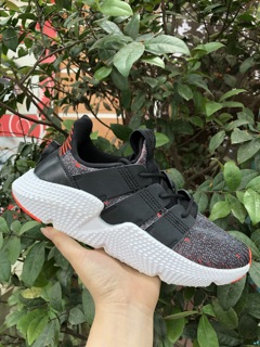 Prophere ( 8 màu )