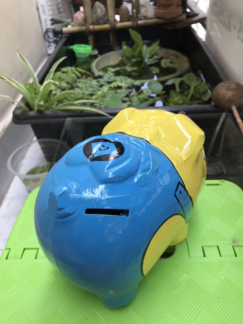 Heo đất minion size M