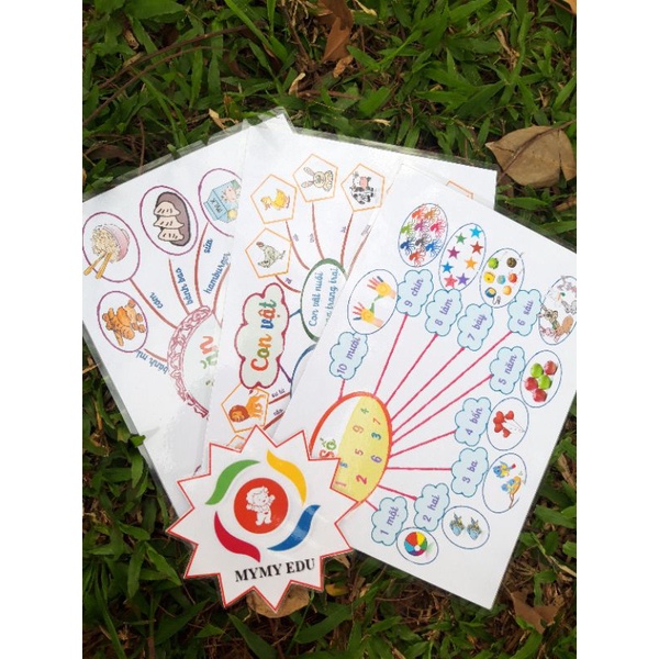 Mindmap tiếng việt - sơ đồ tư duy bằng giấy in ảnh(11 trang)
