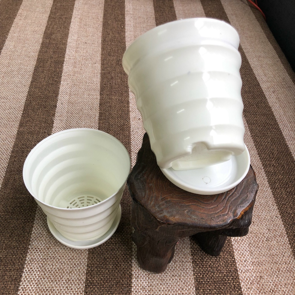 [9X8,8CM] CHẬU TRỒNG SEN ĐÁ HOA MINI ĐỂ BÀN CÓ ĐĨA LÓT BẰNG NHỰA NHIỀU MẦU