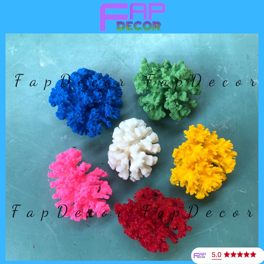 SAN HÔ BÔNG RẠN BIỂN PHONG THỦY MINI PHỐI MÀU SIÊU ĐẸP TRANG TRÍ THỦY SINH BỂ CÁ DECOR BÀN LÀM VIỆC - FAPDECOR