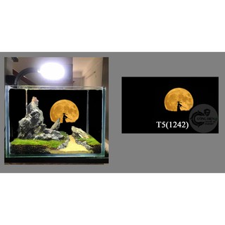Tranh dán hồ cá 3D