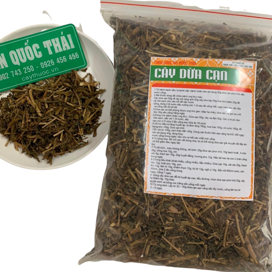 1KG Cây Dừa Cạn Khô, Sạch, Tốt Cho Người Ung Thư