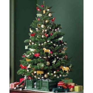 CÂY THÔNG NOEL ( loại cao m5 -m8 kèm đèn led và đồ trang trí)