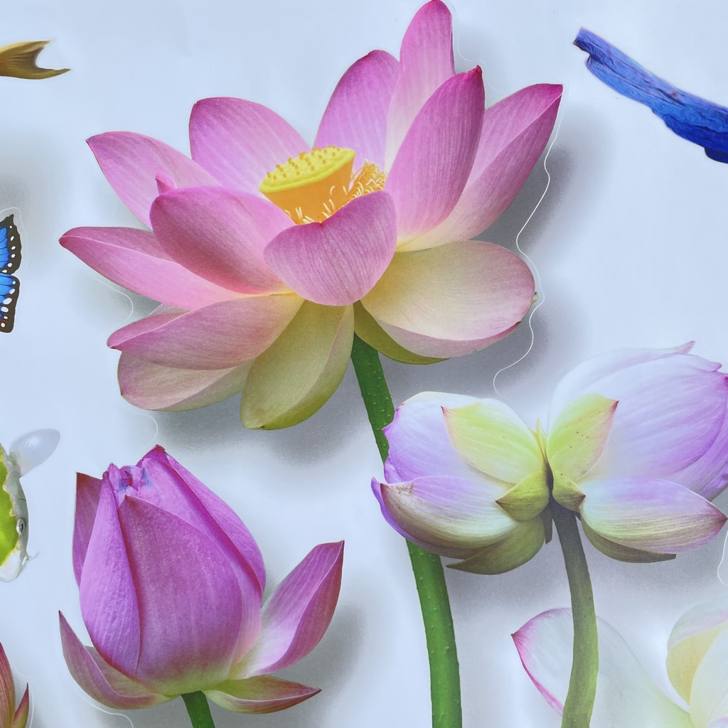 Decal dán tường hàn quốc trang trí phòng ngủ TUNG DECOR SK9328 Bình Hoa Sen Trắng