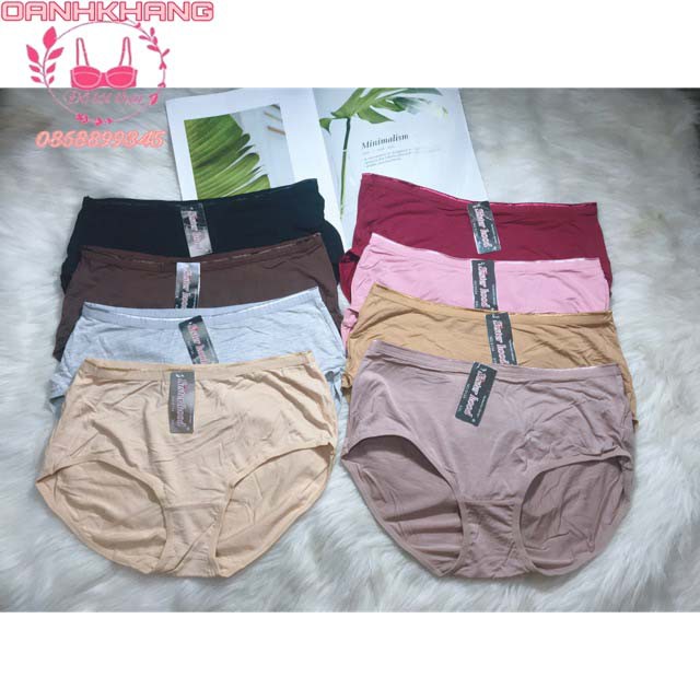 Quần Lót cotton big size Thái Lan Sisterhood thoáng mát mã 5134 - ThaiMarketBRA | BigBuy360 - bigbuy360.vn