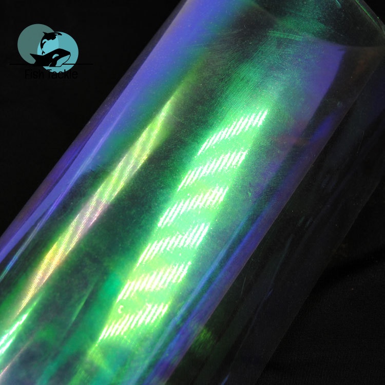 Bộ 6 Mồi Câu Cá Giả Bằng Nhựa Màu Cầu Vồng