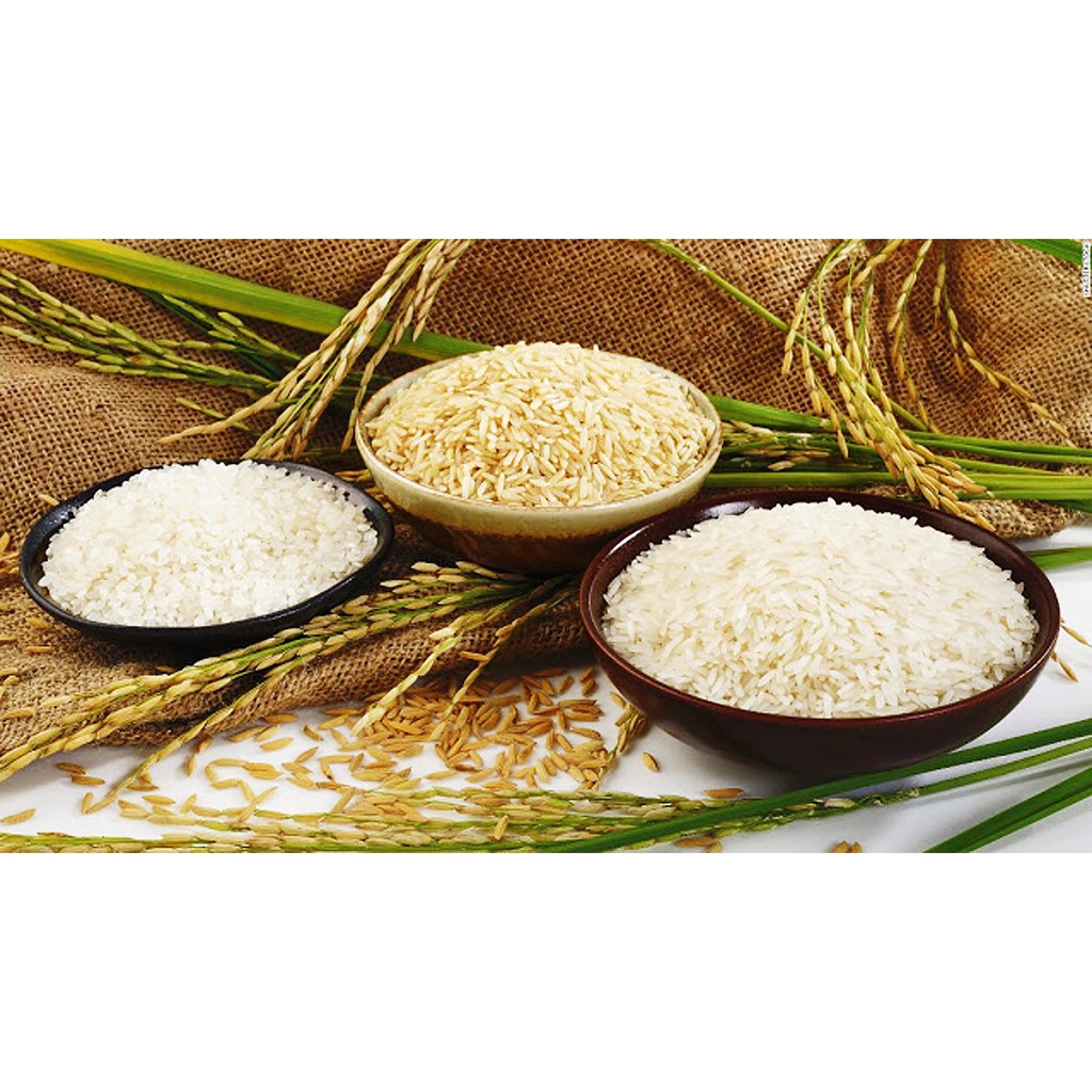 Gạo mầm Vibigaba  Nghệ hộp 1kg - chén cơm nên chén thuốc